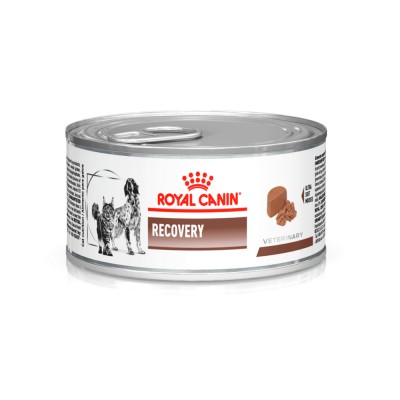 Comida Húmeda Para Perro Royal Canin Recovery 